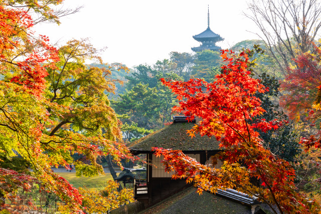 三溪園